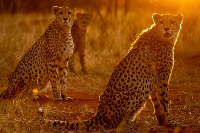 Farbmanagement_Workflow_-_Teaser_Colourclass_Namibia.jpg